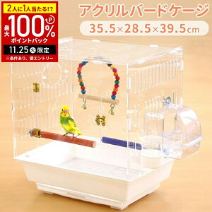 yIm1/2Iōő100%|CgobN25z   gJS P[W P[X AN NA  zCg y ^ o[hP[W ~܂ CR a   o[h 