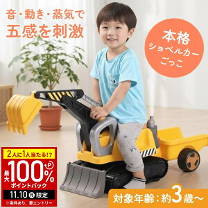 yIm1/2Iōő100%|CgobN10z VxJ[  pVxJ[ 360x]    OV 蕨   R d@ pVxJ[ V