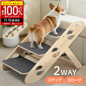 yIm1/2Iōő100%|CgobN10z hbOX[v hbOXebv 3i  Xebv Ki X[v ybgpKi ܂肽 pXebv ݑ ~ ybgXebv 