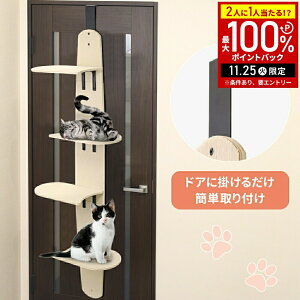 yIm1/2Iōő100%|CgobN25z LbgEH[N ǂȂ  sv ܂Ƃ LbgXebv Lbg^[ Lbg ^[ L Ƌ hA| ݂艺