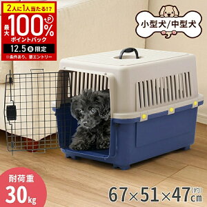 yz & 5%OFFN[|12/1 pz  N[g ^ ^ nEX N[gnEX ybgL[ L[P[X n[h n[hL[ ybgN[g ybgP[W yb