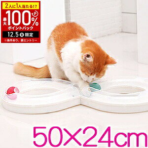 yz & 5%OFFN[|12/1 pz L  lV {[ S T[Lbg 8̎^ Lp Lpi Lp Lpߋ ߋ LObY