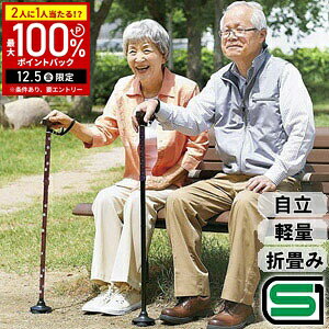 yz & 5%OFFN[|12/1 pz  ܂肽 y   j SG}[Nt ߉ ܂肽ݏ 4_ l_   Ƃ藧 ܂ XebL  wlp 