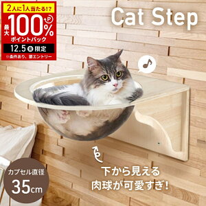 yz & 7%OFFN[|420` pz LbgEH[N L Ǌ| LbgXebv Lp ǎt ǖʗp Lbg^[ nbN NAXebv Lbg Xebv Lb