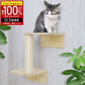 yz & 5%OFFN[|12/1 pz LbgEH[N  LbgXebv ܂Ƃ 1i 30cm I Lbg^[ LbgnbN  Lbg Xebv Lbgc[ Ǘp 