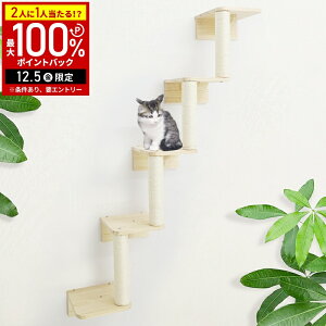 yz & 7%OFFN[|420` pz LbgXebv ܂Ƃ LbgEH[N  I Ki 4i 30cm Lbg^[  Lbg Xebv Lbgc[ Ǘp ؐ Lbg