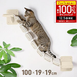 yz & 7%OFFN[|420` pz LbgEH[N  I LbgXebv 100cm Lbg^[ LbgnbN  Lbg Xebv Lbgc[ Lbg_