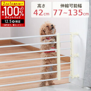 yIm1/2Iōő100%|CgobN5z ybgQ[g ˂ Lk ybgtFX Lk 42cm Nh~ Ch Nh~ Q[g   tFX d؂ ^ ^