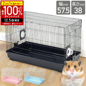 yz & 7%OFFN[|420` pz nX^[ P[W 傫 nEX nX^[P[W nX^[nEX ybgP[W [P[W ybgQ[W T[NP[W rbgP