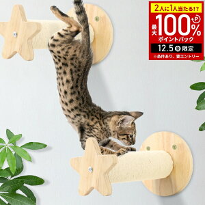 _2Zbg12,200~^ LbgEH[N Ǖt ܂Ƃ ܌ ߂Ƃ |[ Xebv Ǌ| LbgXebv Lbg^[  L ܂Ƃ|[ ߂Ƃ|[ ycat_couz