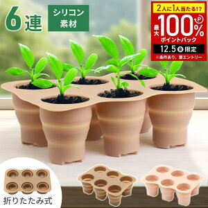 yz & 7%OFFN[|420` pz c|bg  c|bg ۃ|bg VR VR 6A^Cv c |bg cgC cg[ GR|bg cJbv Jbv Zbg 