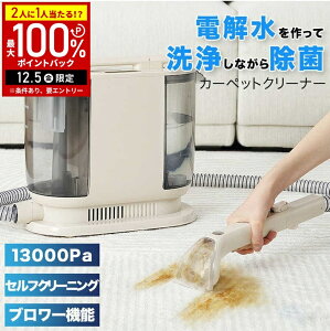 y݌Ɍ̑z J[ybgN[i[ z@ J[ybg@ 􂢑|@ ziN[i[ ɑΉ d ͋z LX^[t eCN CT-100