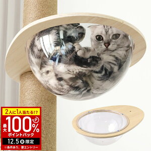 yz & 7%OFFN[|420` pz Lbg^[ nbN ʔ ėpp[c lW11mm LbgXebv Lbg^[p Xebv xbh NA{E {E {E