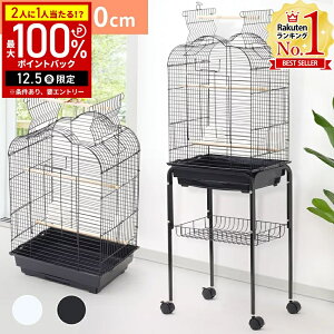 yz & 5%OFFN[|12/1 pz  P[W ^ o[hP[W   ~܂ CR a   o[h  IE ZLZCCR IJCR LX^[ 