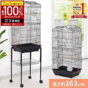 yz & 5%OFFN[|12/1 pz  ^ P[W ^ ~܂ a ZLZCCR LX^[t o[hP[W   o[h o[hQ[W  X^