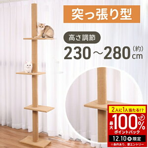 y5%OFFN[|zz809:59 pz Lbg^[ ˂ X  ȃXy[X 230`286cm ˂Lbg^[ ˂_ ؓo LbgXebv LbgEH[N