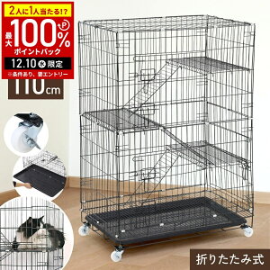 y5%OFFN[|zz610` pz LbgP[W 3i gCt LX^[ L P[W ܂肽ݎ 110×75×47cm LbgnEX hA Xebv Q[W LbgQ[W LbgT