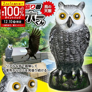 y5%OFFN[|zz809:59 pz 悯 tNE ӂ낤 u Q΍ JX悯 JX  悯 ng悯 Ƃ̌ z[z[ 悯ObY x_ 