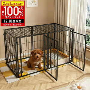 y5%OFFN[|zz610` pz ybgT[N t hAt  L ybgpT[N P[W Q[W 2hA ybgtFX ybgQ[W ybgP[W LbgT[N 