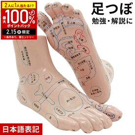 【LINE登録ですぐ使えるクーポン配布中】 足つぼ 模型 足裏 反射区 日本語 足つぼマッサージグッズ マッサージ ツボ押し グッズ 両足 左右 セット マネキン 足 つぼ あしつぼ 足ツボ リフレクソロジー 立体 体系 足の模型 足裏の模型 図解