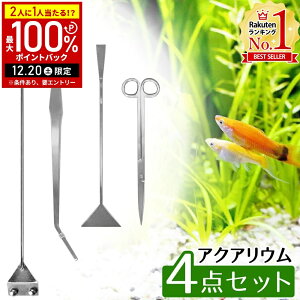 �y���z&5%OFF�N�[�|���z�z19��20���`���p��������z ���� �g���~���O �n�T�~ �ێ�� �s���Z�b�g �X�N���[�p�[ �����g���~���O �Z�b�g �g���~���O �v�����C�U�[ 4�_�Z�b�g �����O �R�P�|�� ����