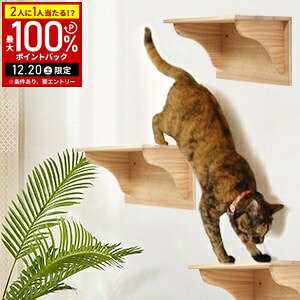 �y���I�m��1/2���I�ōő�100%�|�C���g�o�b�N20������z �L���b�g�X�e�b�v �L���b�g�E�H�[�N �Ǖt���Z�b�g �� �X�e�b�v �L���b�g ���� �K�i 1�� 3�Z�b�g �L �Ǌ|�� �ؐ� �L���b�g�^���[ �L��