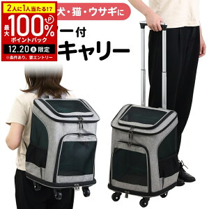 �y���I�m��1/2���I�ōő�100%�|�C���g�o�b�N20������z �y�b�g�J�[�g �L�����[�o�b�O �� �����b�N �y�b�g�L�����[ �� �L �L�����[ �y�b�g �L�����[�P�[�X �y�b�g�L�����[ �J�[�g �L���X�^�[�t