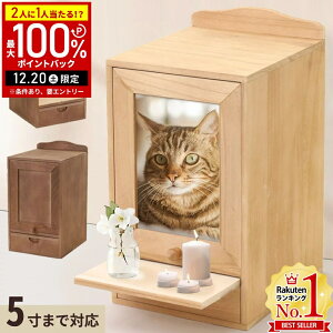 �y���I�m��1/2���I�ōő�100%�|�C���g�o�b�N20������z �y�b�g ���d ������[ �y�b�g�p���d 5���܂ł̍��ق����� �����o���t�� �������A���{�b�N�X �t�H�g�t���[���t�� ���^���d �~�j���d ��