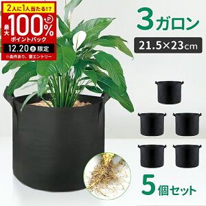 �y���I�m��1/2���I�ōő�100%�|�C���g�o�b�N20������z �s�D�z �v�����^�[ ��� 3�K���� �s�D�z�v�����^�[ �s�D�z�|�b�g 5�Z�b�g ��^ �A�ؔ� �t�F���g�v�����^�[ �y�� �y�� �[�� �t�F���g 