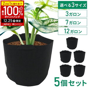 �_7�K����1,580�~�E12�K����2,480�~�^ �s�D�z�|�b�g �s�D�z�v�����^�[ 3�K���� 7�K���� 12�K����5�Z�b�g �s�D�z �v�����^�[ �A�ؔ� �t�F���g�v�����^�[ �y�� �y�� �[�� ��^ �t�F���g �� �z��