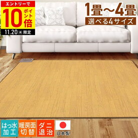【LINE登録ですぐ使えるクーポン配布中】 ホットカーペット フローリング調 1畳 2畳 3畳 1.5畳 テクノス TEKNOS 木目調ホットカーペット 電気カーペット 電気マット ホットマット 足元暖房 マット 撥水 本体 本体のみ 大きい 大型