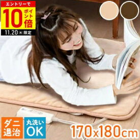 【LINE登録ですぐ使えるクーポン配布中】 電気毛布 敷き タイマー MORITA ホットゴロ寝マット ごろ寝マット MM-17CTR シングルサイズ 170×80cm 洗える ホットカーペット 電気カーペット 電気マット カーペット 敷き毛布 丸洗い モリタ