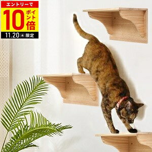 yLINEo^łgN[|zzz LbgXebv LbgEH[N ǕtZbg  Xebv Lbg  Ki 1 3Zbg L Ǌ| ؐ Lbg^[ Lbgc[ n