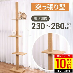 yLINEo^łgN[|zzz Lbg^[ ˂ X  ȃXy[X 230`286cm ˂Lbg^[ ˂_ ؓo LbgXebv LbgEH[N 