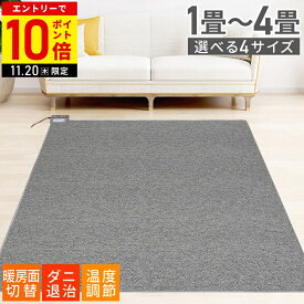 【LINE登録ですぐ使えるクーポン配布中】 ホットカーペット 1畳 2畳 3畳 1.5畳 電気カーペット 電気マット フローリング ダニ退治 ダニ 長方形 正方形 ホットマット 足元暖房 マット 暖房器具 省エネ