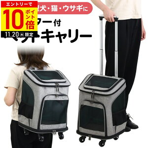 yLINEo^łgN[|zzz ybgJ[g L[obO  bN ybgL[  L L[ ybg L[P[X ybgL[ J[g LX^[t ybgL