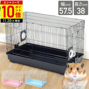 yIm1/2Iōő100%|CgobN25z nX^[ P[W 傫 nEX nX^[P[W nX^[nEX ybgP[W [P[W ybgQ[W T[NP[W r