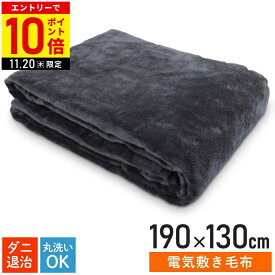 【LINE登録ですぐ使えるクーポン配布中】 電気毛布 掛け敷き 掛け敷き兼用 フランネル 掛敷毛布 セミダブルサイズ 190×130cm 洗える テクノス テクノス TEKNOS EM-741F