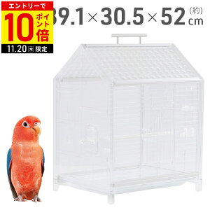 yLINEo^łgN[|zzz   gJS P[W P[X NA  y ^ o[hP[W ~܂ CR a    o[h   ZLZC