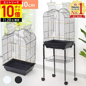 yLINEo^łgN[|zzz  P[W ^ o[hP[W   ~܂ CR a   o[h  IE ZLZCCR IJCR LX^[ X^