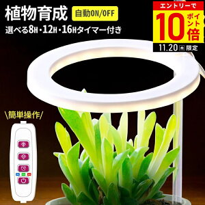 yLINEo^łgN[|zzz A琬Cg LED A琬 Cg X^h LEDCg O^ ACg A 琬 O  琬Cg USB USBd ^C}[t Ǝ 邳5