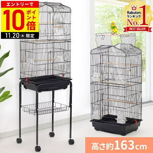 yLINEo^łgN[|zzz  ^ P[W ^ ~܂ a ZLZCCR LX^[t o[hP[W   o[h o[hQ[W  X^h