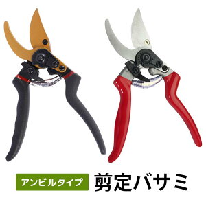 ΂ Ă΂ TNTN؂ ₷ 2iK߉\  tbfR[eBO  ΂ DIY H  t  ƒ؉ p }؂ ~ ʎp ϗt