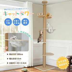 Lbg^[ ˂ ؐ X FDnbNt L܂Ƃ^[ ɑx12cm ܌ W] VR RbgR u sv ȃXy[X 225~280cm ȂǎRDIY\ 