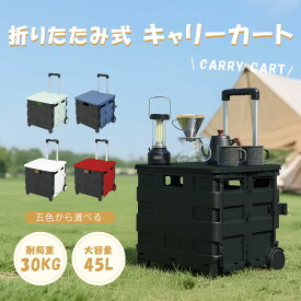 折りたたみキャリーカート ショッピングカート コンテナキャリー キャリーカート 耐荷重35kg 45L 軽量 台車 静音 超コンパクト 蓋付き 座れる キャンプ用 家庭用 ショッピング用 飛び出し防止 簡単組立て 簡単取り付け 遠足 旅行用品