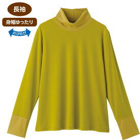 ハイネックTシャツ レディース トップス 長袖 ゆったり 伸縮性 ストレッチ素材 春夏 シニアファッション 60代 70代 80代 高齢者 服 おばあちゃん 婦人 大きめサイズ LL お出かけ着 外出着 シニア カットソー 重ね着