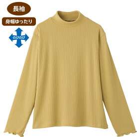 メロウジャカードTシャツ レディース 日本製 トップス 長袖 伸縮性 ストレッチ素材 春夏 シニアファッション 60代 70代 80代 高齢者 服 おばあちゃん 婦人 洗濯機対応 お出かけ着 外出着 シニア カットソー 重ね着 シンプル