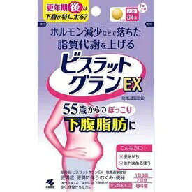 ビスラットグランEX1日3回7日分84錠【第2類医薬品】