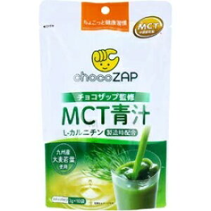 �`���R�U�b�v�ďC�@MCT�`�@L-�J���j�`���@�X�e�B�b�N�^�C�v3gx10��