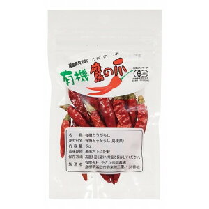 L@̒ i5gj y₳_zyzւ̂݁z